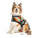 BLACK CANYON DOG BLANKET COAT
