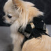 BLACK GLITZERATI DOUBLE NOUVEAU BOW TINKIE DOG HARNESS W/ BLACK GLITZERATI TRIM