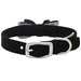 CRYSTAL STELLAR BIG BOW DOG COLLAR - BLACK