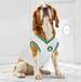 BOSTON CELTICS DOG ROAD JERSEY