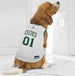 BOSTON CELTICS DOG ROAD JERSEY