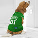 BOSTON CELTICS DOG MESH JERSEY