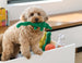 BRENT THE 13" BRONTOSAURUS ROPE DOG TOY