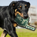 MILWAUKEE BUCKS #1 FAN DOG TOY