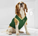 MILWAUKEE BUCKS MESH DOG JERSEY
