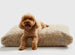 BUTTERSCOTCH CLOUD PILLOW DOG BED - PLUSH RECTANGULAR CUSHION