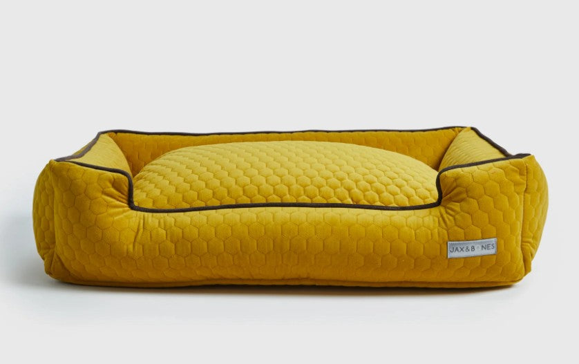 BUMBLE CHARTREUSE LOUNGE DOG BED
