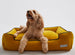 BUMBLE CHARTREUSE LOUNGE DOG BED