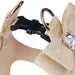 CHAMPAGNE GLITZERATI BIG BOW STEP-IN DOG HARNESS