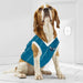 CHARLOTTE HORNETS MESH DOG JERSEY