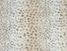 CHEETAH COZY DOG MAT