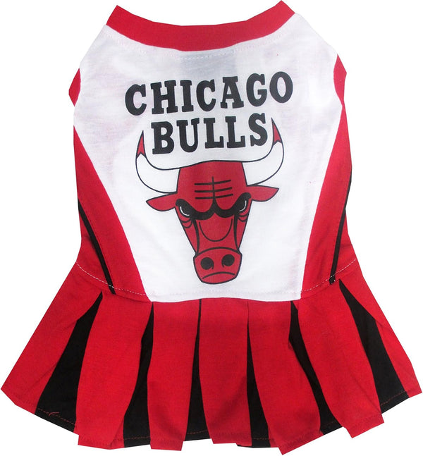 CHICAGO BULLS CHEERLEADER DOG DRESS