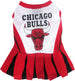 CHICAGO BULLS CHEERLEADER DOG DRESS