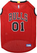 CHICAGO BULLS MESH DOG JERSEY