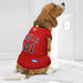 CHICAGO BULLS MESH DOG JERSEY
