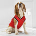 CHICAGO BULLS MESH DOG JERSEY
