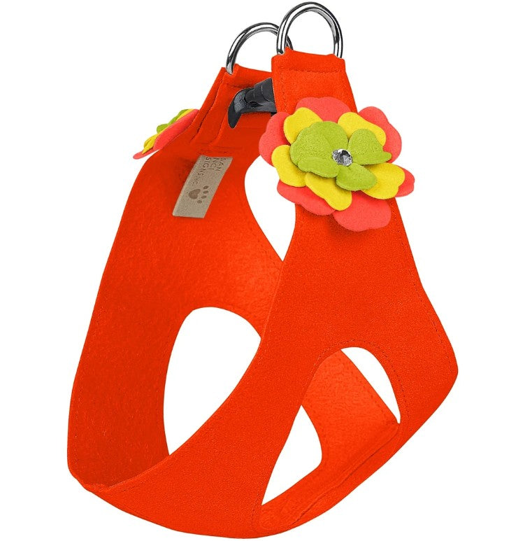 CITRUS FLOWER STEP IN HARNESS