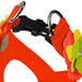 CITRUS FLOWER STEP IN HARNESS