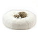 DOGS SHAG BED (3 COLORS)