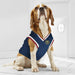 DENVER NUGGETS MESH DOG JERSEY
