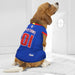 DETROIT PISTONS MESH DOG JERSEY