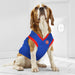 DETROIT PISTONS MESH DOG JERSEY