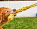 GOLD TOP TUGGER ROPE DOG TOY