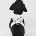 HOPE BOW TINKIE DOG HARNESS