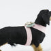 HOPE BOW TINKIE DOG HARNESS