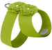 SPRING COLORS TINKIE'S GARDEN FLOWER DOG HARNESS