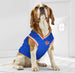 NEW YORK KNICKS MESH DOG JERSEY
