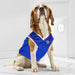 LA CLIPPERS MESH DOG JERSEY
