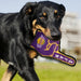LOS ANGELES LAKERS #1 FAN DOG TOY