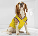 LOS ANGELES LAKERS MESH DOG JERSEY
