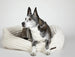LUNA IVORY NAPPER DOG BED