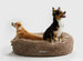 MOCHA CLOUD DONUT DOG BED