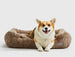 MOCHA CLOUD LOUNGE DOG BED