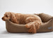 WARBY BEIGE NAPPER DOG BED