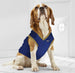 NEW ORLEANS PELICANS MESH DOG JERSEY