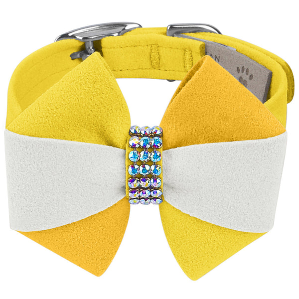 PIÑA COLADA DOG COLLAR