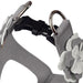 PLATINUM SPECIAL OCCASION FLOWER STEP-IN DOG HARNESS