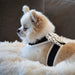 POLKA DOT NOUVEAU BOW TINKIE DOG HARNESS W/ WHITE TRIM