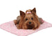 CURLY SUE DOG BLANKET (4 COLORS)