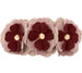 ROSEWOOD SPICE DOG COLLAR
