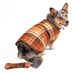 RUST PLAID DOG BLANKET COAT