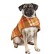 RUST PLAID DOG BLANKET COAT