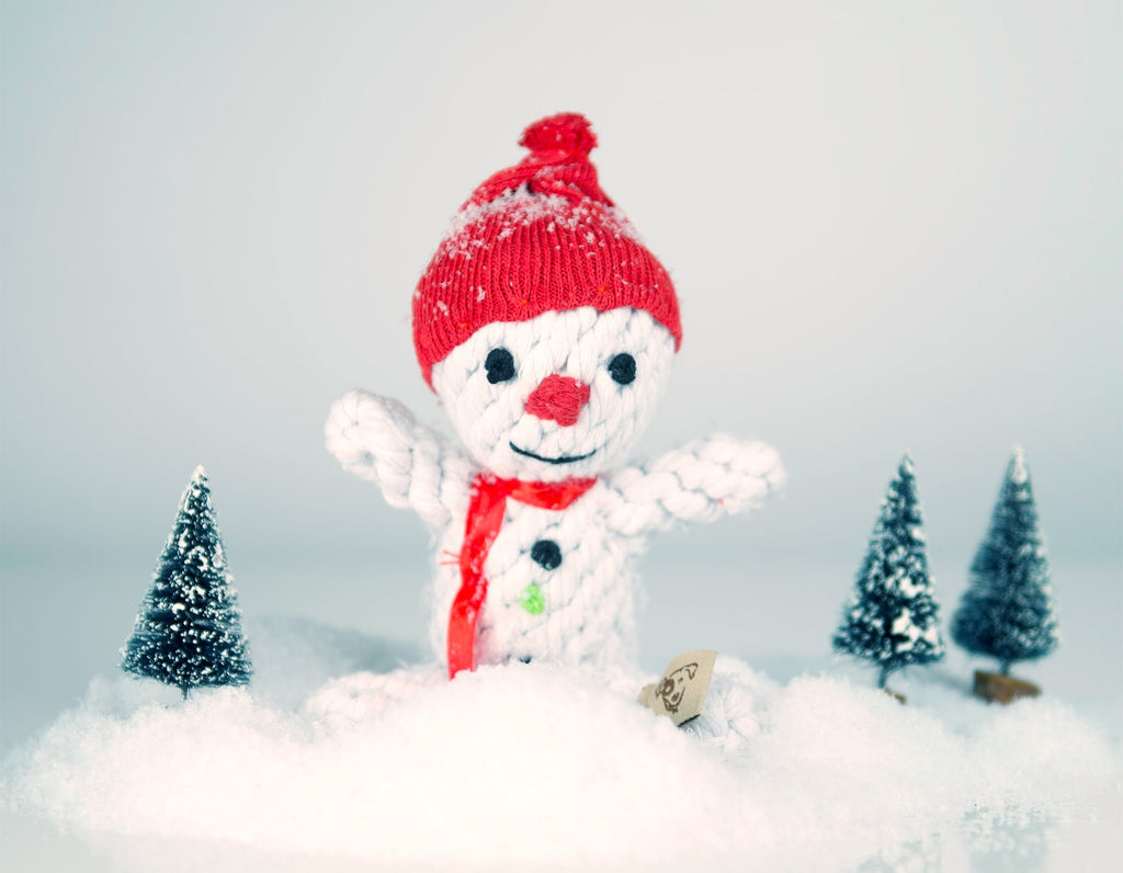 SCOTT THE SNOWMAN ROPE DOG TOY