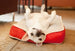 SPLASHED WHITE/LUST SERENGETI DOG BED