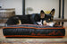 IVORY BLACK/GIANTS ORANGE SFYLINE DOG BED