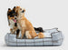 SOCIAL CLUB SKY LOUNGE DOG BED